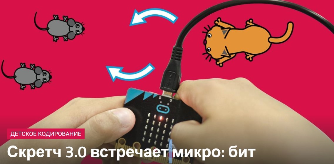 e11630bc1c92d8576bc53