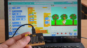 ezgif-1-ed426bf2a6ac